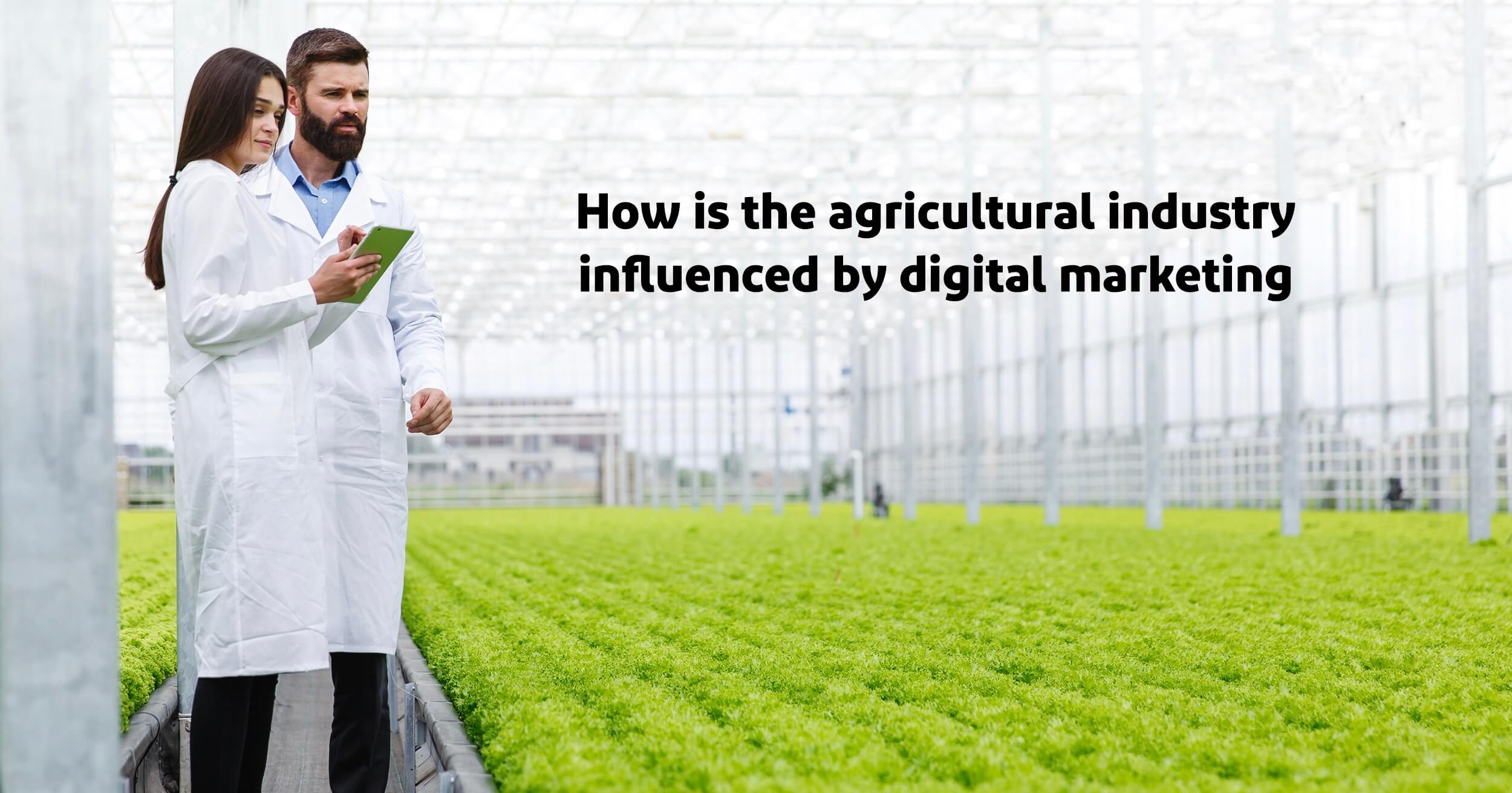 Digital Marketing of Agricultural Products